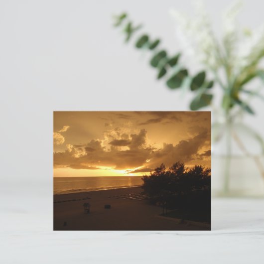 P8190542 ポストカード (スタンド正面)