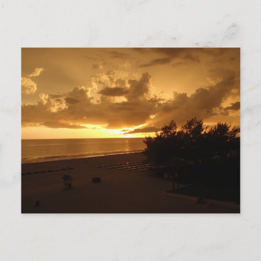 P8190542 ポストカード (正面)