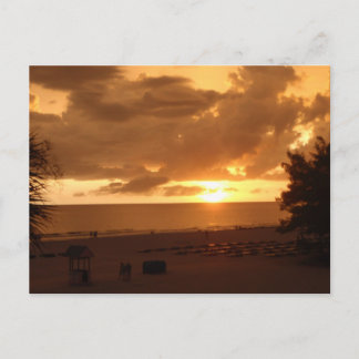 P8190544 ポストカード