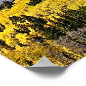 P9270030 - Hill of Golden Aspen ポスター (角)