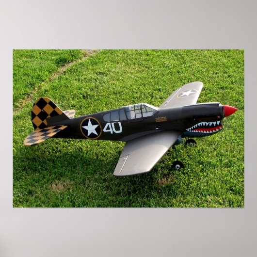 P-40の鳥のポスター ポスター (正面)