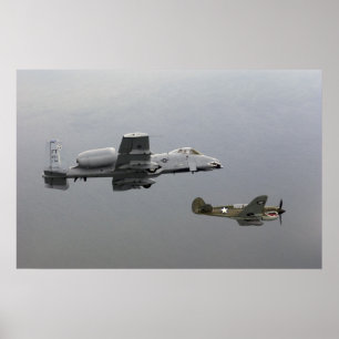 P-40トマホークおよびA-10 Warthog ポスター