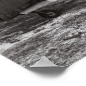 P-40 PLANE - PEARL HARBOR - 1941 ポスター (角)