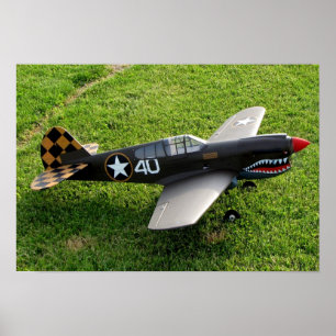 P-40 Warbirdポスター ポスター