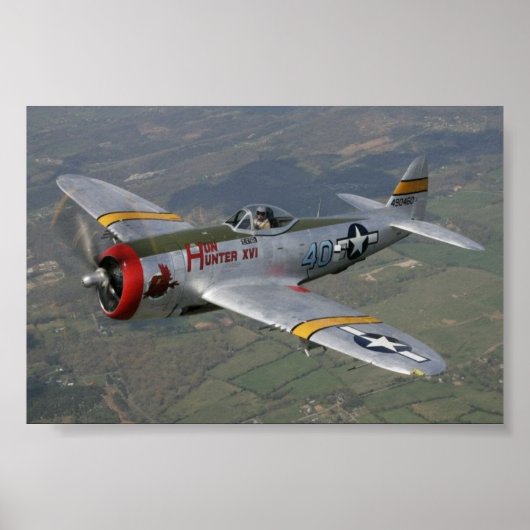 p-51マスタング ポスター (正面)