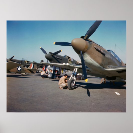 P-51ムスタング ポスター (正面)