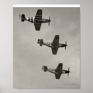 P-51 BおよびP51Dのムスタング ポスター