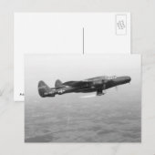 P-61クロゴケグモ ポストカード (正面/裏面)