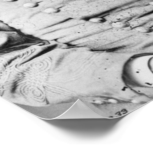 P.G.T.ボーアレス ポスター (角)