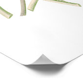 P.J. レドゥテによるエジプトの蓮の花のプリント ポスター (角)