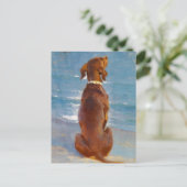 P.S.クロイェルによる座る茶色の犬 ポストカード (スタンド正面)