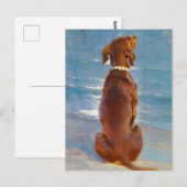 P.S.クロイェルによる座る茶色の犬 ポストカード (正面/裏面)