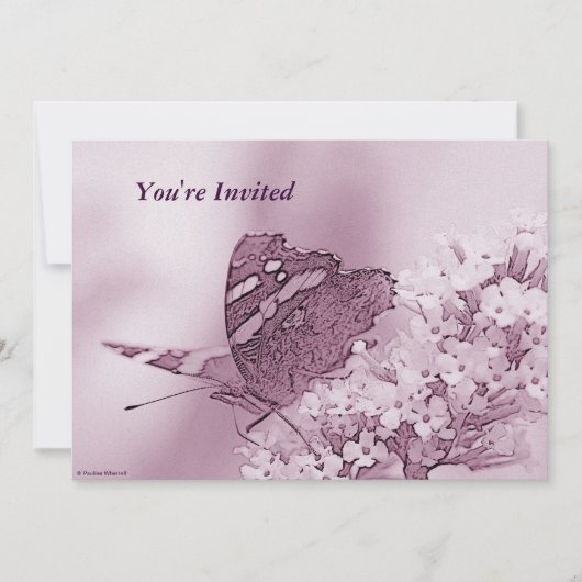 © P Wherrellバタフコンテンポラリーライオンブッドレイア 招待状 (正面)