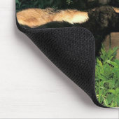 p-Wolves_Bay_Street_Cal2001 マウスパッド (コーナー)