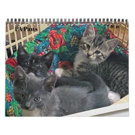 PAポー12か月カレンダパーソナライズされたー カレンダー