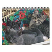 PAポー12か月カレンダパーソナライズされたー カレンダー (カバー)