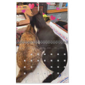 PA前足2年カレンダー カレンダー (2月 2027)