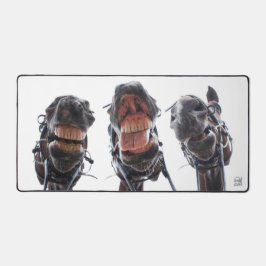 Paarden in de mond gekeken. 3 paarden lachend. デスクマット