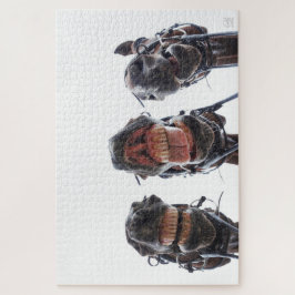 Paarden in de mond gekeken. 3 paarden lachend. leg ジグソーパズル