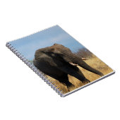 Pachydermのノート ノートブック (右側)