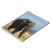 Pachydermのノート ノートブック (左側)