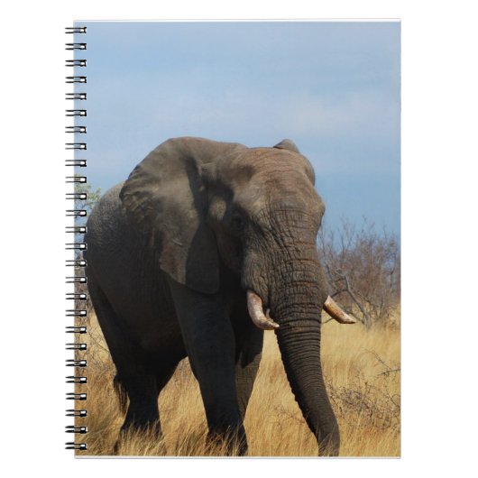 Pachydermのノート ノートブック (正面)