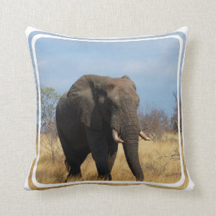 Pachydermの枕 クッション