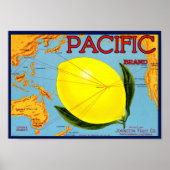 Pacific Brand Packed by Johnston Fruit Co 1917 ポスター (正面)
