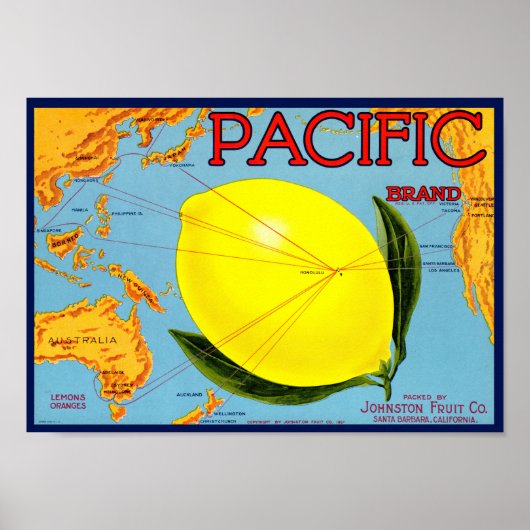 Pacific Brand Packed by Johnston Fruit Co 1917 ポスター (正面)
