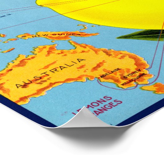 Pacific Brand Packed by Johnston Fruit Co 1917 ポスター (角)