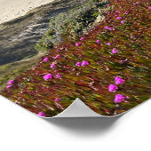 Pacific Coast ポスター (角)