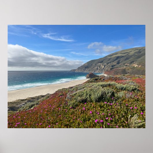 Pacific Coast ポスター (正面)