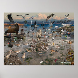 Pacific Coast Poster ポスター
