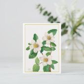 Pacific Dogwood Vintage Botanical Illustration ポストカード (スタンド正面)