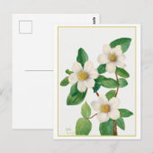 Pacific Dogwood Vintage Botanical Illustration ポストカード (正面/裏面)