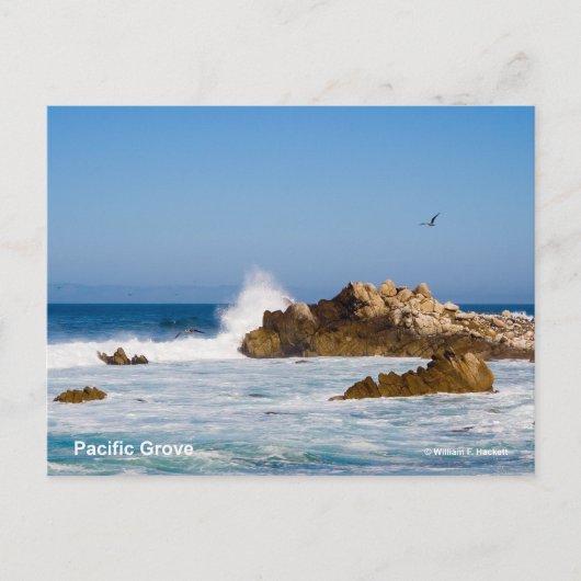 Pacific Groveカリフォルニア製品 ポストカード (正面)