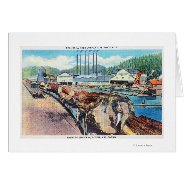 Pacific Lumber Co, Redwoodの外観 (正面横)