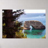 Pacific North West Ocean View Poster ポスター (正面)
