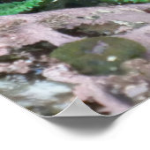 Pacific Northwest Tidepool with Green Anenomes ポスター (角)