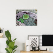 Pacific Northwest Tidepool with Green Anenomes ポスター (ホームオフィス)