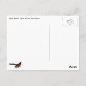 Pacific Northwest Tidepool with Green Anenomes ポストカード (裏面)