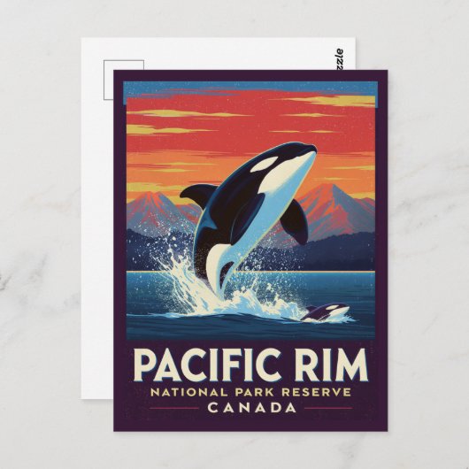 Pacific Rim National Park Orca Breaching ポストカード (正面/裏面)