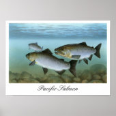 Pacific Salmon Painting Print ポスター (正面)