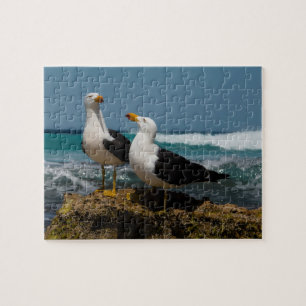 Pacific Seagull Birds Australia海、110個 ジグソーパズル