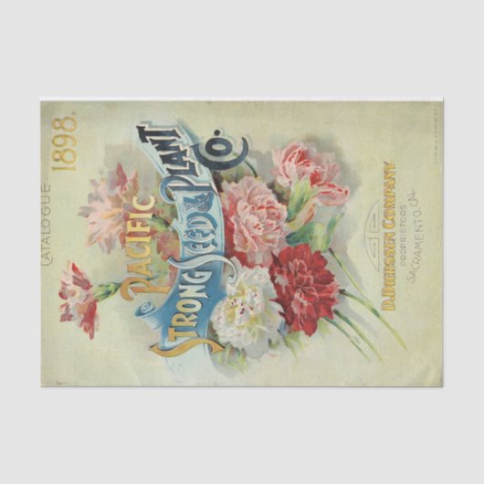 Pacific Strong Seed & Plant 1898ヴィンテージカタログ 薄葉紙 (正面)