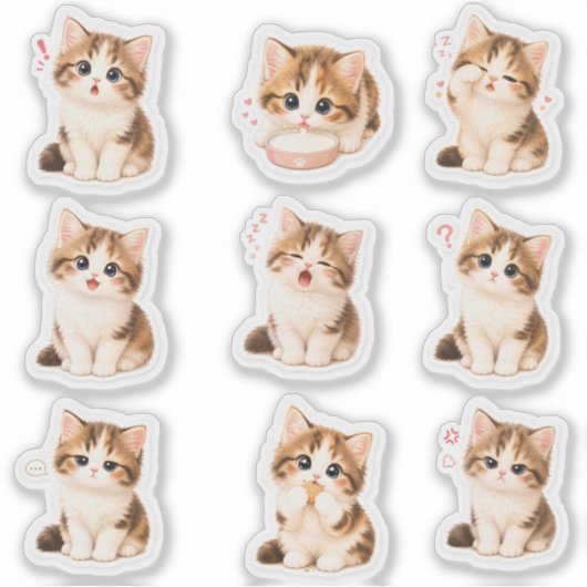 Pack de Stickers Gatito Tierno y Expresivo シール (正面)