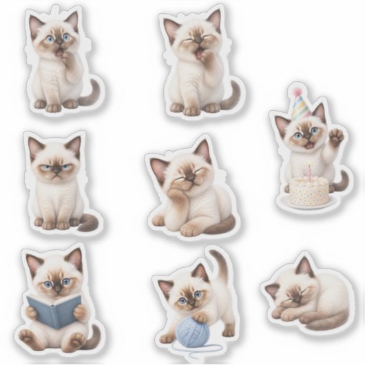 Pack de Stickers Gatito Tierno y Expresivo シール (正面)