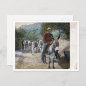 Pack Train in the Mountains Vintage ポストカード (正面/裏面)