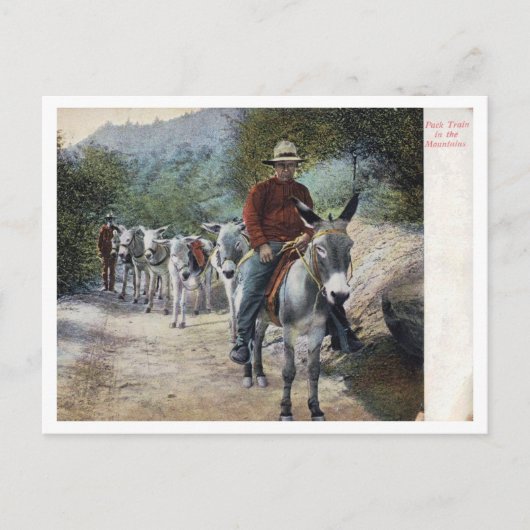 Pack Train in the Mountains Vintage ポストカード (正面)