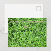 Packed with greenery ポストカード (正面/裏面)